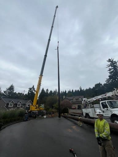 Crane and utility trucks working a pole set in wet Pacific Northwest weather